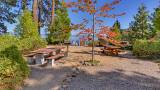 Big Pine-large-039-037-Lake Tahoe Park Association-1500x1000-72dpi.jpg