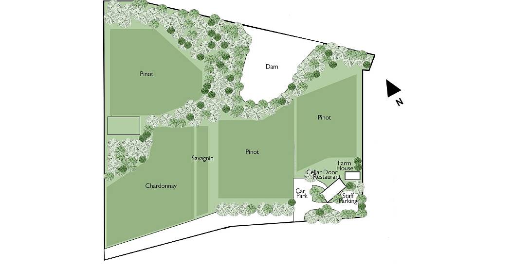 Siteplan- 37 Shoreham Road-min.jpg