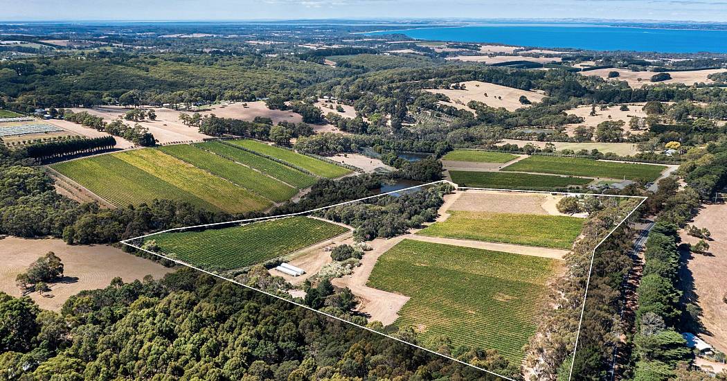 37_Shoreham_Rd_DRONE_009_BOUNDARY-min.jpg