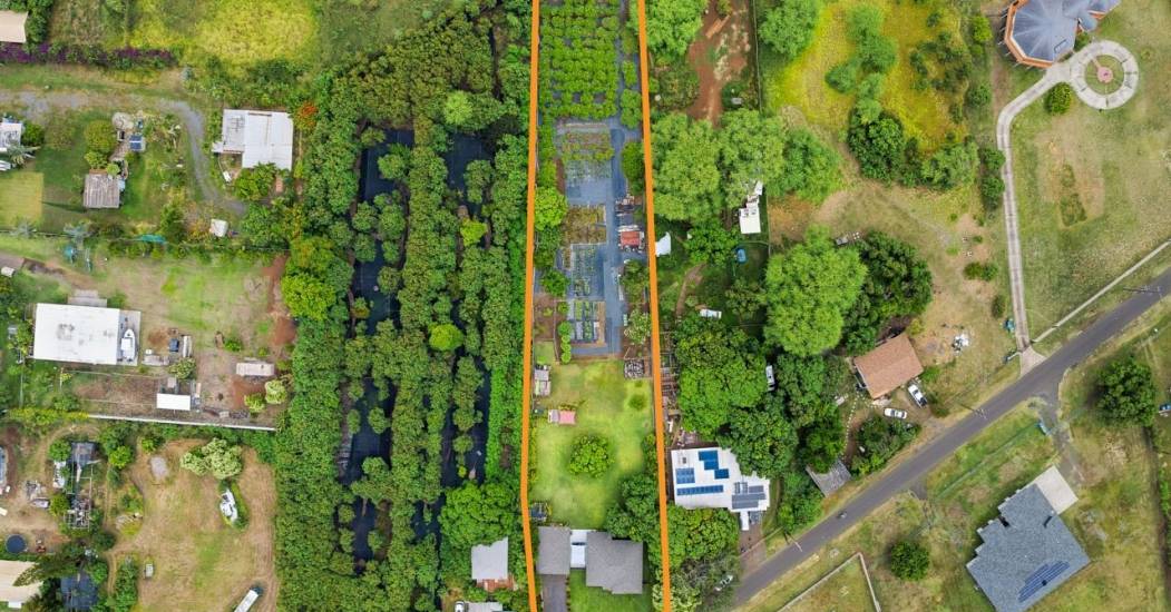 photos_web_resolution_DJI_20260615140619_0015_D_2_2A.jpg