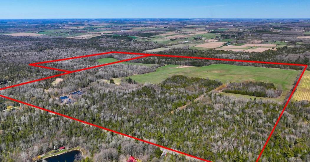4410834.jpg