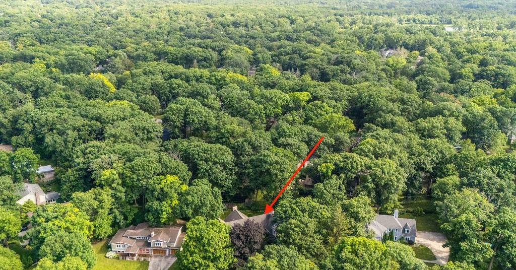 46.jpg