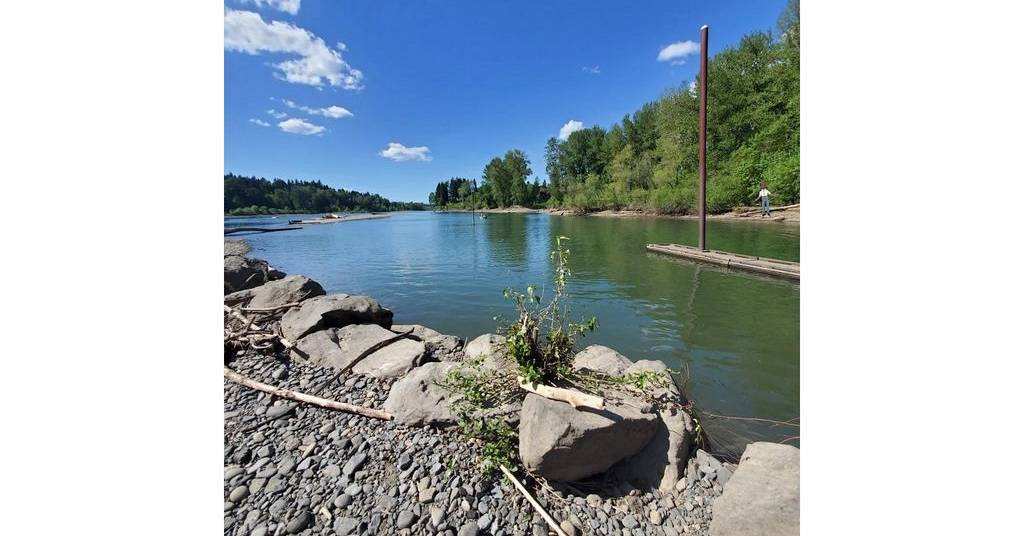 47.jpg