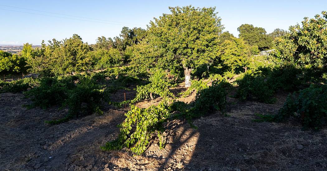 TriMotionMedia-Images-85.jpg