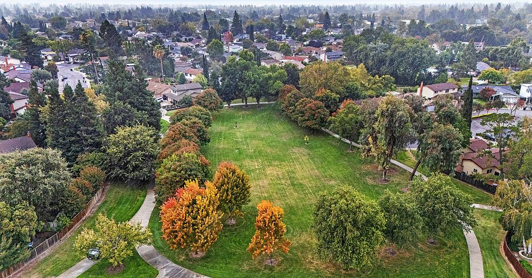DJI_20251013142109_0081_D.jpg