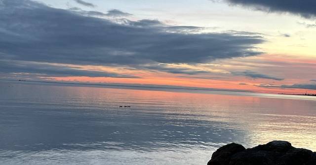 IMG_4987.jpg