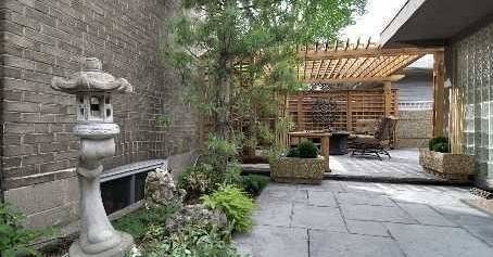 yard 2.jpg