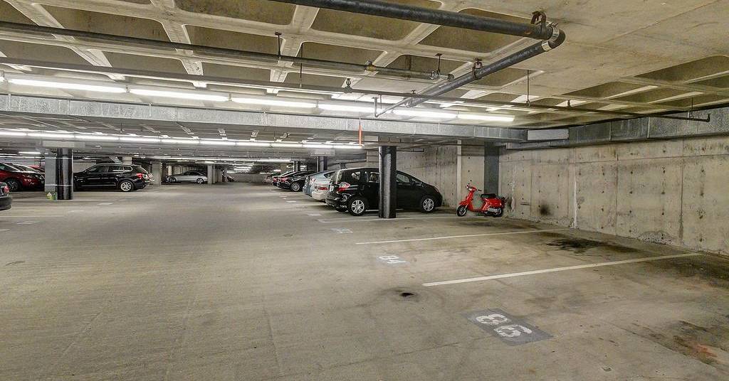 44.jpg