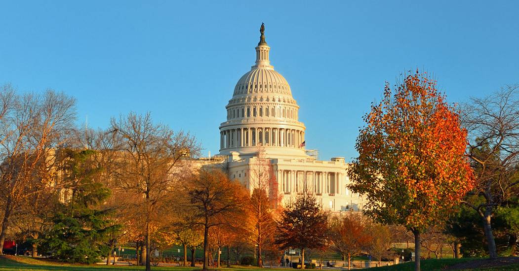 Washington-D.C.-Wordpress-Thumb.jpg