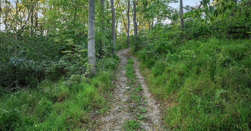 8494delawaredr0211.jpg