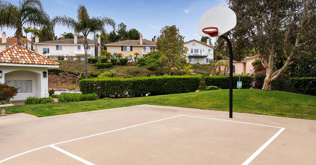 Basket Ball Hoop.jpg