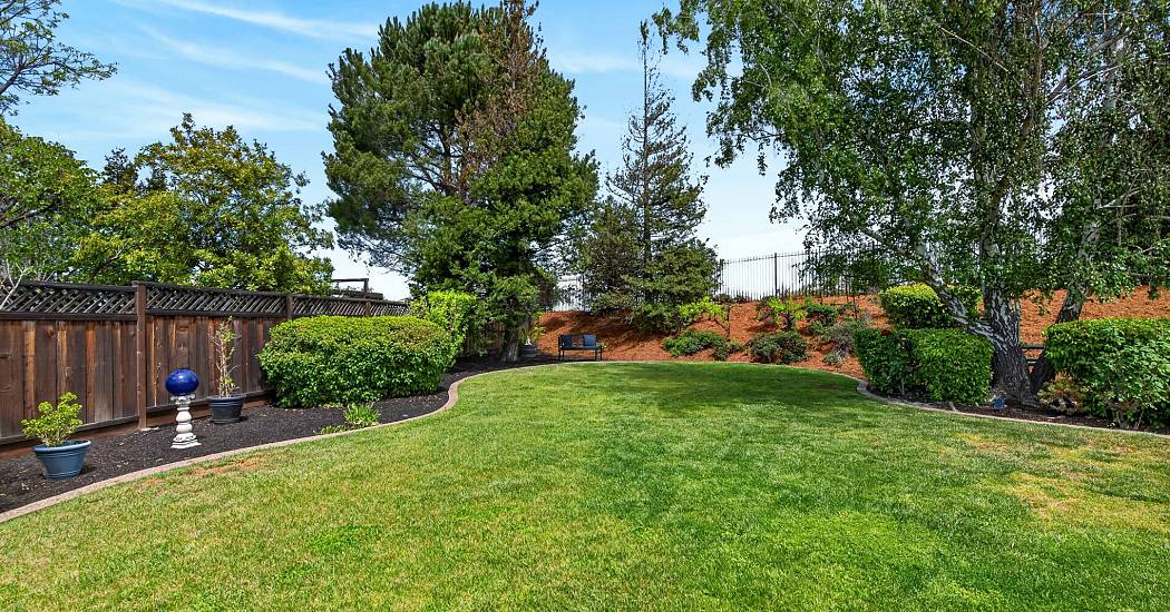 41-Backyard.jpg