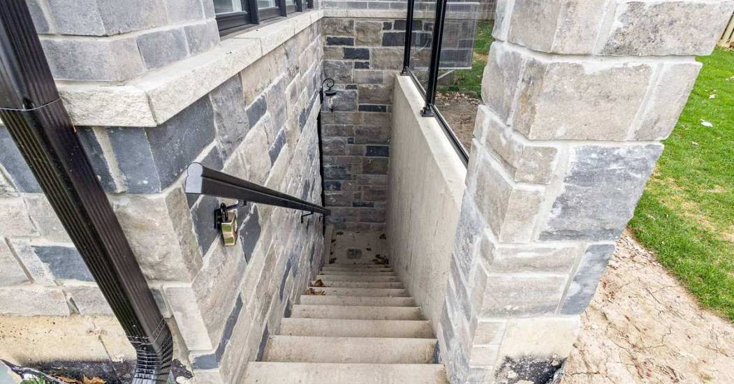 4529189.jpg