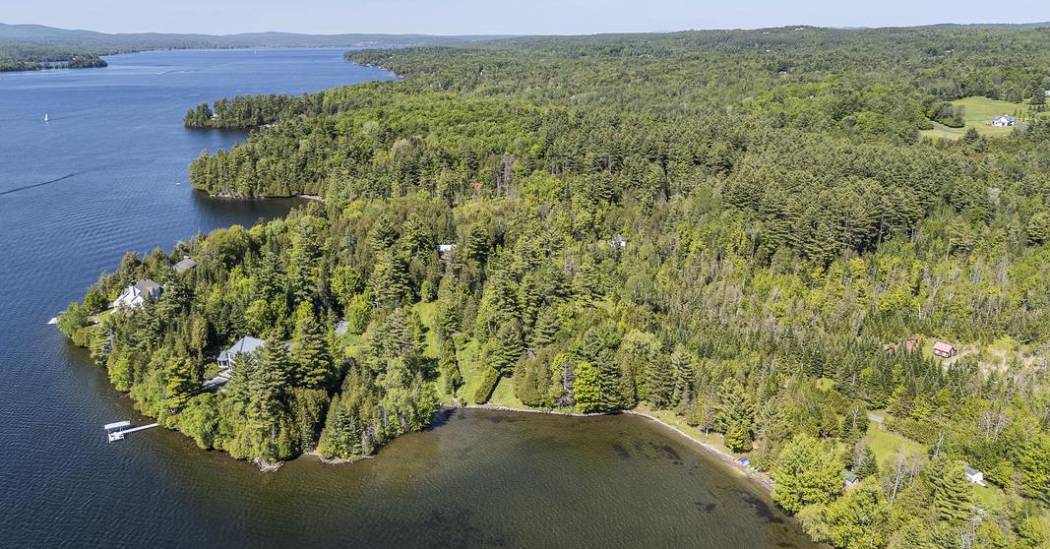 4529770.jpg