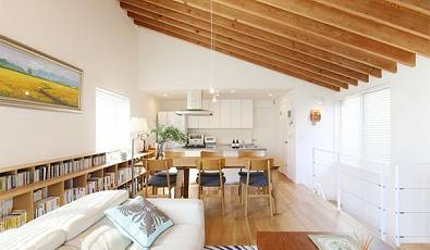 Herzog & de Meuron Home