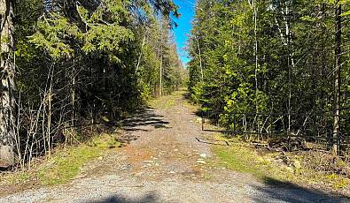 7489 Concession Road 2