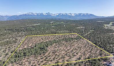 TBD Ponderosa Dr 21