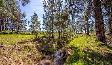10 OUTBACK Rd