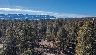TBD S Badger Trail 429