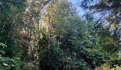 1 Cedar St