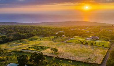 Build Your Private Coastal Sanctuary in Paradise