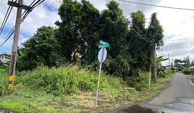 Downtown Hilo Potential