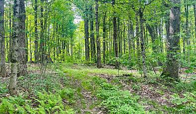 Lot 0 Greylock Estates Rd