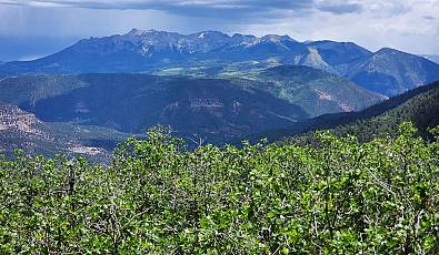 TBD Canyon Rim Loop Lot 6