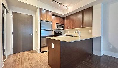 560 Front Street Unit 206