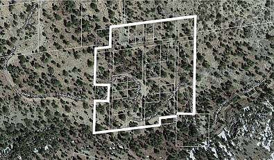 4085 Cougar Ridge Trail