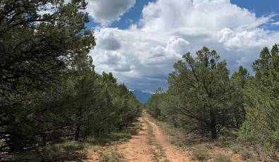 TBD Ponderosa Drive