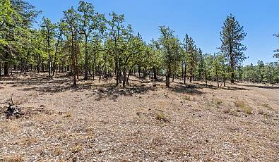 NKA Wilderness Loop Rd