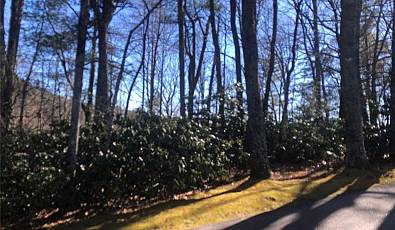 51 Cherokee Trace