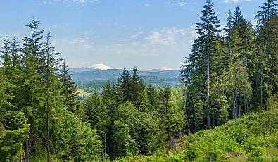 Meissner Rd