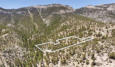 4085 Cougar Ridge Trail