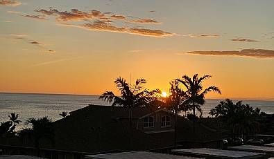Alii Cove #M4