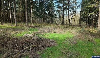 0 Shady Oak Rd NE
