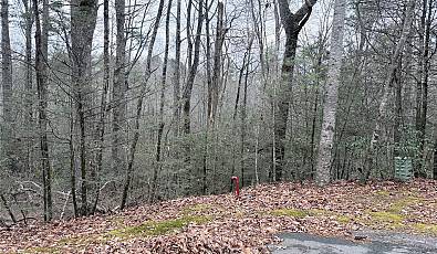 11 Mountain Laurel Court