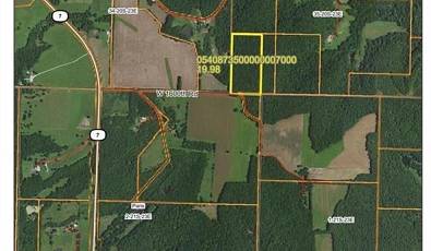19.9 Acres m/l of Dense Hunting Timber!