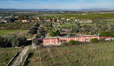 Wonderful land cultivated with vineyards and olive groves with villa and rural buildings, Siracusa