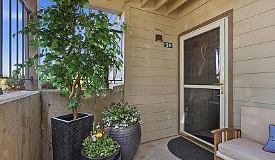 6331 White Tail Dr 56